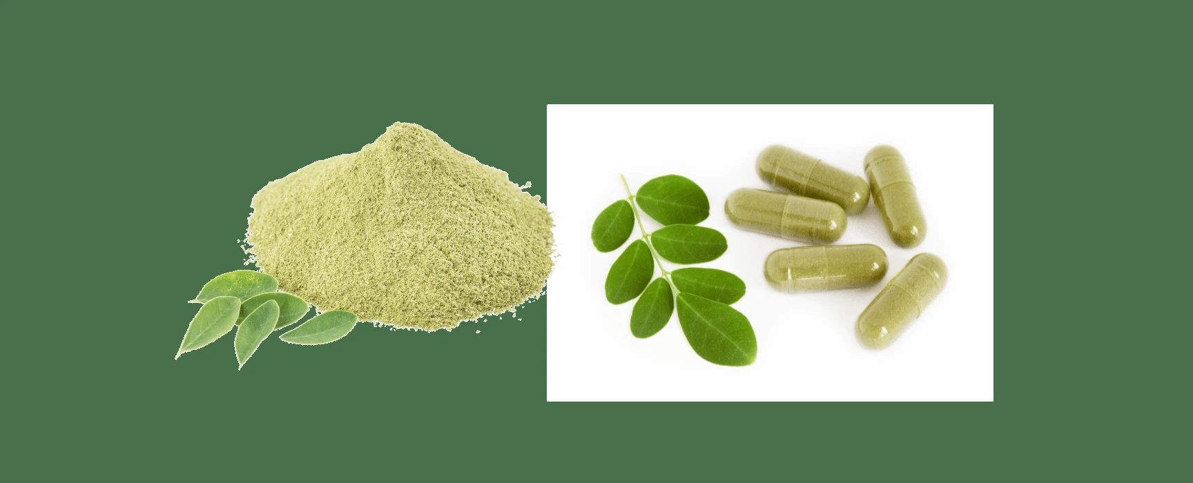 Moringa Magic ingredients
